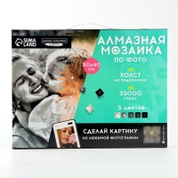 Алмазная мозаика по фото с полным заполнением &laquo;Gray&raquo;, на холсте с подрамником, 30 х 40 см