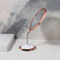 Зеркало на гибкой ножке &laquo;Круг&raquo;, с увеличением, d зеркальной поверхности 15,5 см, цвет медный/белый