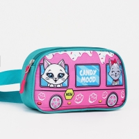 Сумка поясная детская для девочки &laquo;Котята&raquo; 20х11х4см