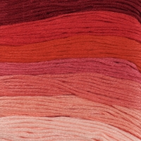 Набор ниток мулине, 8 &plusmn; 1 м, 7 шт, цвет красный спектр