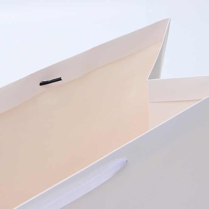 Пакет ламинированный горизонтальный "Белый", XL 49 &times; 40 &times; 19 см