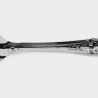 Ложки чайные из нержавеющей стали &laquo;Русиано&raquo;, длина 14 см, 12 шт, цвет серебряный