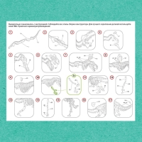 Деревянный конструктор &laquo;Скелет Тираннозавра&raquo;