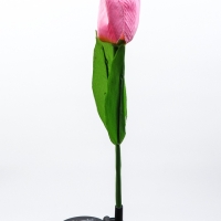 Штекер с подсветкой "Тюльпан" розовый, 8х70см