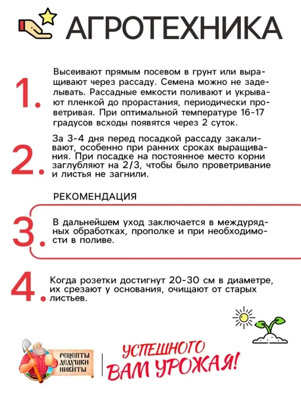 Семена Салат листовой "Московский парниковый", 0,5 г