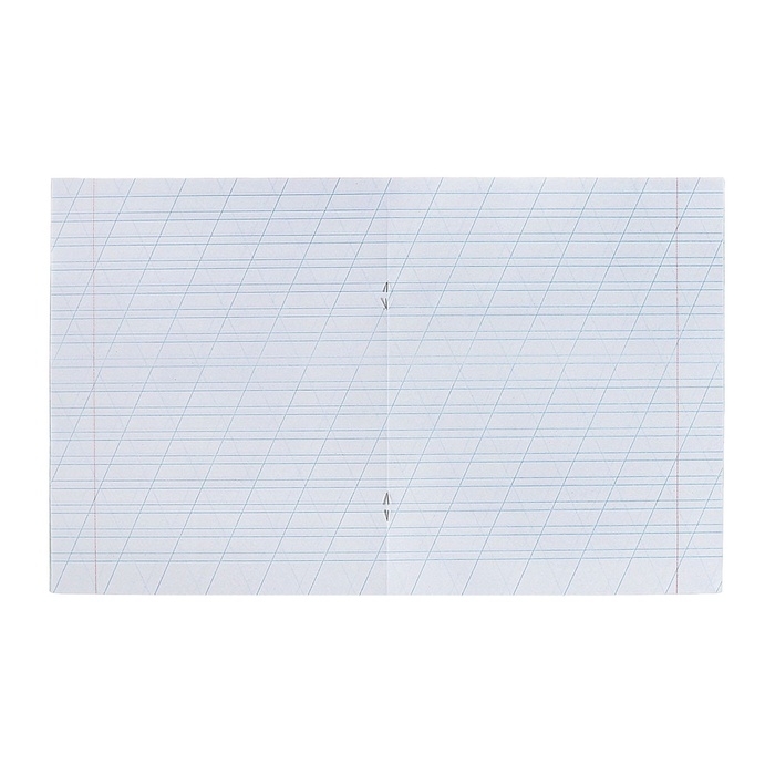 Комплект тетрадей из 20 штук, 12 листов в косую линию КПК "Зелёная обложка", блок офсет, белизна 92%