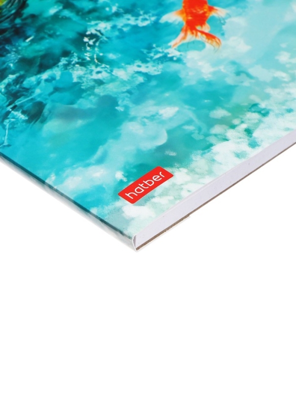 Альбом для рисования, А4 20 листов, Hatber &laquo;Золотые рыбки&raquo; белые листы