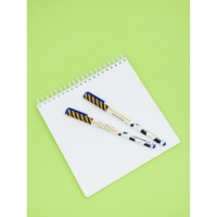 Набор пластиковых ручек "Лучший выпускник школы", синяя паста 0.7 мм, 4 шт