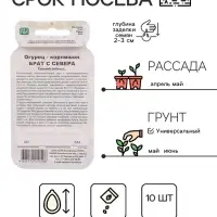 Семена огурца "Брат с Севера", 10 шт.