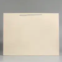 Пакет ламинированный горизонтальный "Молочный", XXL  61 х 46 х 20 см