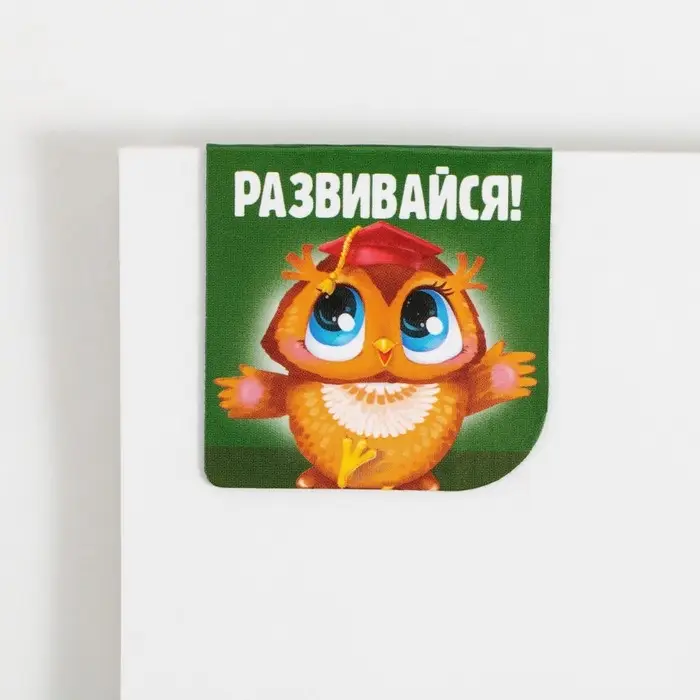 Закладки магнитные для книг, 2 шт &laquo;Школа&raquo;