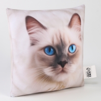 Подушка антистресс, кот "Рэгдолл"