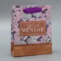 Пакет подарочный крафтовый, упаковка, &laquo;Живи мечтой&raquo;, S 12 х 15 х 5.5 см