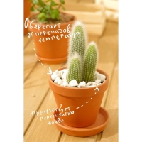 Мраморная крошка "Рецепты Дедушки Никиты", отборная, белая, фр 10-20 мм , 5 кг