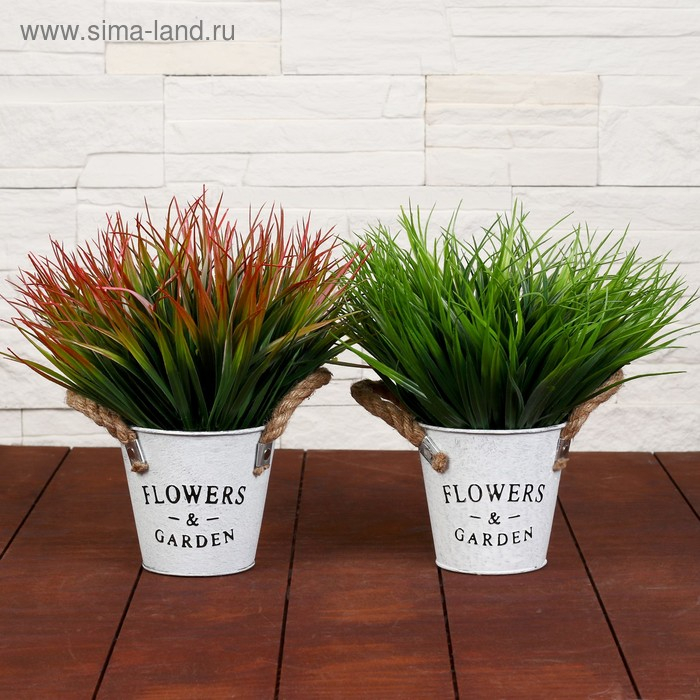 Бонсай в горшке "Садовый рай" осока, 11х22 см, микс