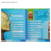 Энциклопедия 4D в дополненной реальности &laquo;Анатомия: органы человека&raquo;