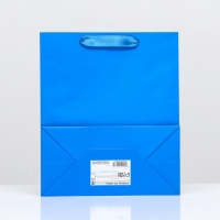 Пакет ламинированный &laquo;Синий&raquo;, 23 х 27 х 11,5 см