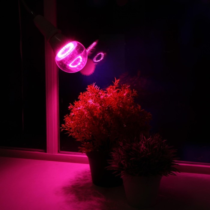 Фитолампа светодиодная Luazon, А60, E27, 12 Вт, IP44, 220 В, 270&deg;, мультиспектральная