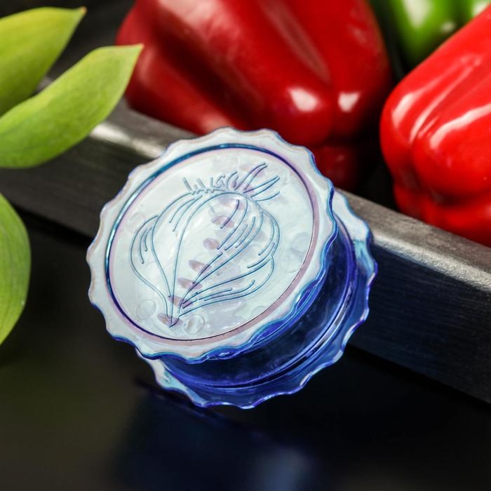 Измельчитель для чеснока Доляна &laquo;Хранитель&raquo;, 8&times;3 см, цвет МИКС