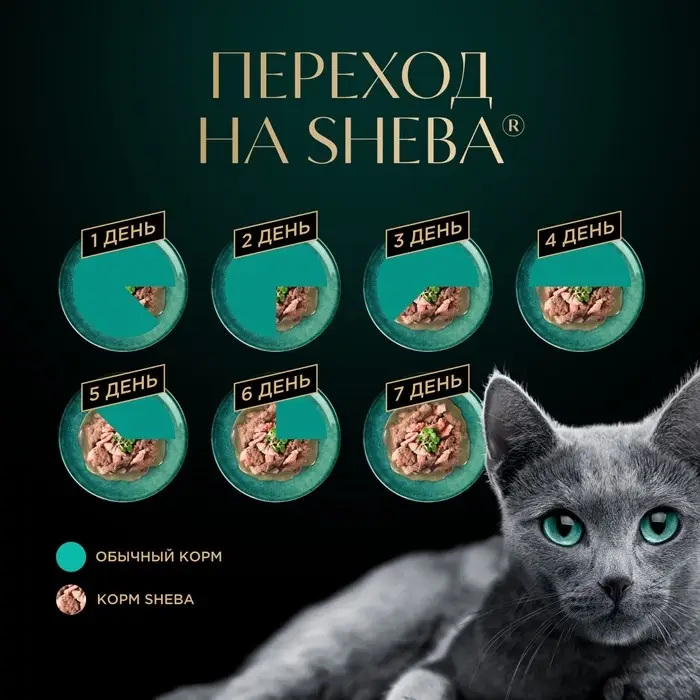 Влажный корм Sheba для кошек, кролик в желе, пауч, 75 г
