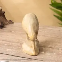 Сувенир "Птица Киви" дерево Суар, 10х5х9 см, цв. бежевый