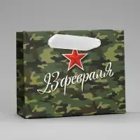 Пакет подарочный ламинированный, упаковка, &laquo;С 23 февраля&raquo;, S 15 х 12 х 5.5 см