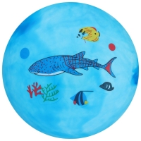 Мяч детский, d=25 см, 60 г, цвет МИКС