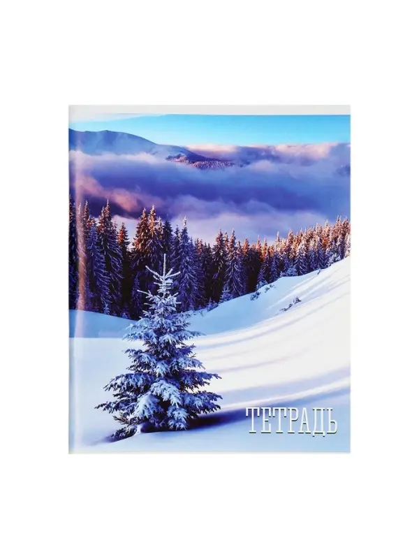 Тетрадь 48 листов в клетку, Calligrata &laquo;Времена года&raquo;, обложка мелованная бумага, серые листы, МИКС