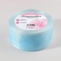 Лента капроновая, 40 мм, 20 &plusmn; 1 м, цвет тёмно-голубой