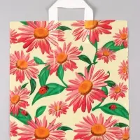 Пакет "Ромашки", полиэтиленовый с петлевой ручкой, 38 х 42 + 3 см, 37 мкм