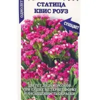 Семена Статица Квис Роуз /Сотка/ 10 шт /ПанАм/  h-70-90 см/*500