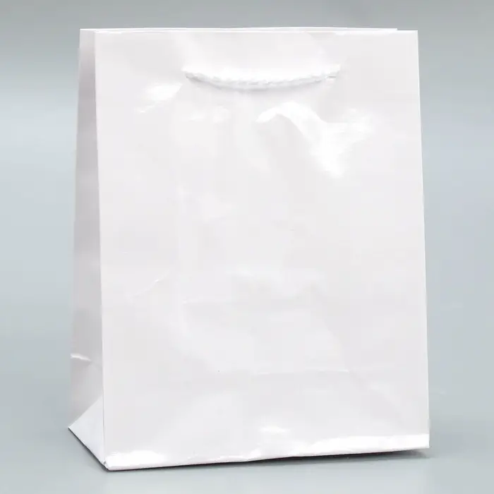 Пакет подарочный ламинированный, упаковка, &laquo;Белый&raquo;, S 12 х 15 х 5.5 см