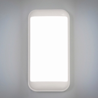 Светильник "Минимал" прямоугольник LED 10Вт 3000К (быстросъемный механизм) белый 5х12х24см   1077725