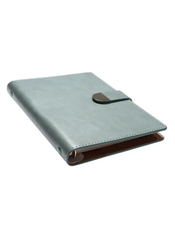 Органайзер на кольцах, C6, с хлястиком, 80л, линия, к/зам, Зеленый