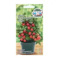 Семена Томат  "Балконное чудо", цв/п, детерминантный,низкорослый, 0,1 г