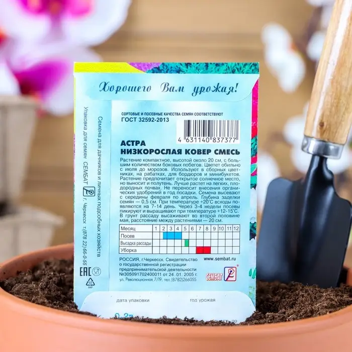 Семена цветов Астра "Ковер", низкорослая, смесь, 0,2 г