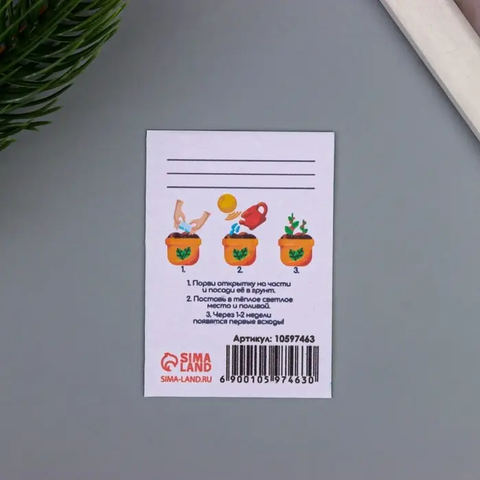 Открытка для выращивания &laquo;Арт Узор. Вырасти сам. Первокласснику&raquo; с семенами, 5&times;7 см