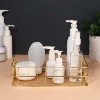 Органайзер для хранения косметических принадлежностей &laquo;РАФАЭЛЬ&raquo;, 24,5 &times; 16,5 &times; 6,5 см, цвет золотистый