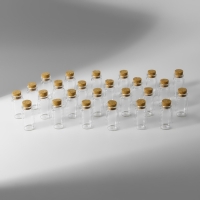 Набор баночек для хранения бисера, d = 2 &times; 4 см, 25 шт, в контейнере, 11 &times; 11 &times; 5 см