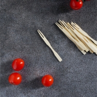 Шпажки для канапе Доляна, бамбук, 100 шт, 12&times;12 см