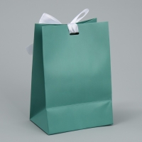 Пакет подарочный с лентой, упаковка, &laquo;Тиффани&raquo;, 13 х 19 х 9 см