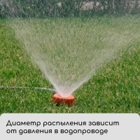 Распылитель-дождеватель, под коннектор, пластик, &laquo;Жук&raquo;