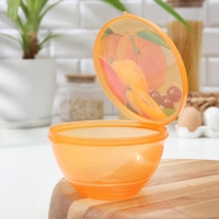 Контейнер пластиковый Доляна &laquo;Сочный фрукт&raquo;, 500 мл, цвет МИКС