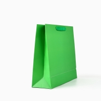 Пакет ламинированный вертикальный &laquo;Поздравляем&raquo;, глиттер, M, 26 х 30 х 9 см