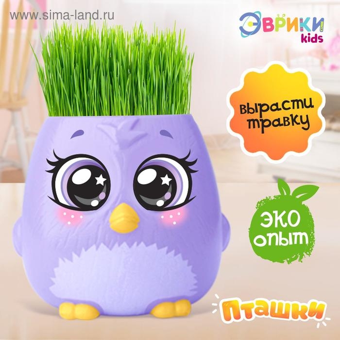 Набор для опытов &laquo;Пташки, выращиваем травку&raquo;, фиолетовый горшочек