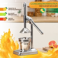 Соковыжималка механическая Доляна Fruits, 20&times;14,5&times;37 см