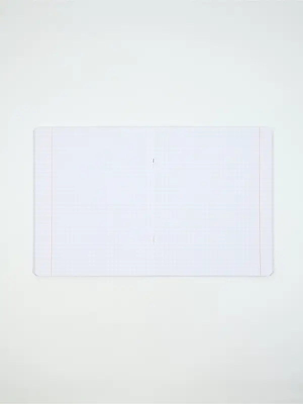 Тетради в клетку, 48 л., набор из 5 шт., блок №1 &laquo;Цвет&raquo;