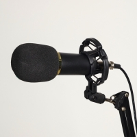 Микрофон конденсаторный Music Life золотой: кабель, ветрозащита, стойка