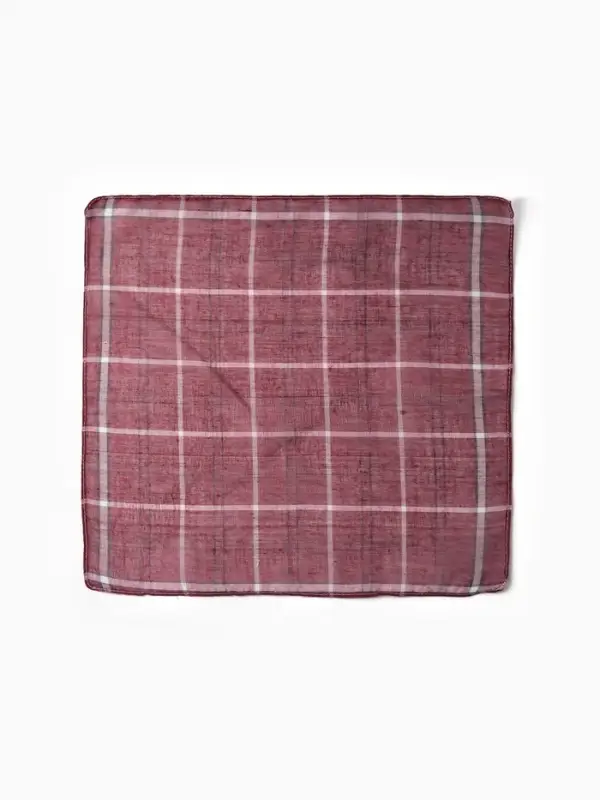 Платки носовые мужские Экономь и Я "Клетка" 38*38 см, (набор 10 шт), рис. МИКС,100% пэ