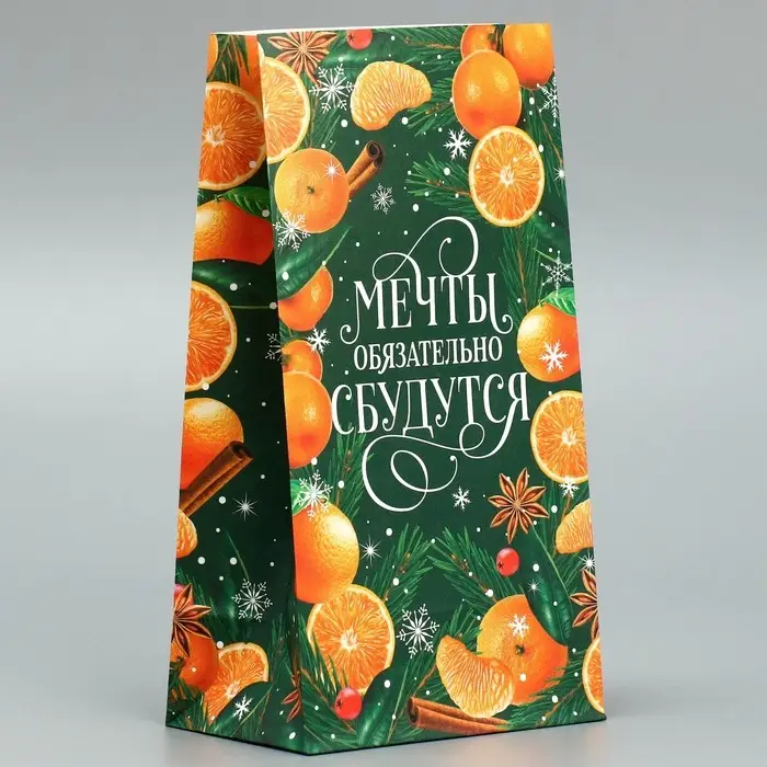 Пакет без ручек &laquo;Мечты обязательно сбудутся&raquo;, мандарины, 10 х 19.5 х 7 см, Новый год